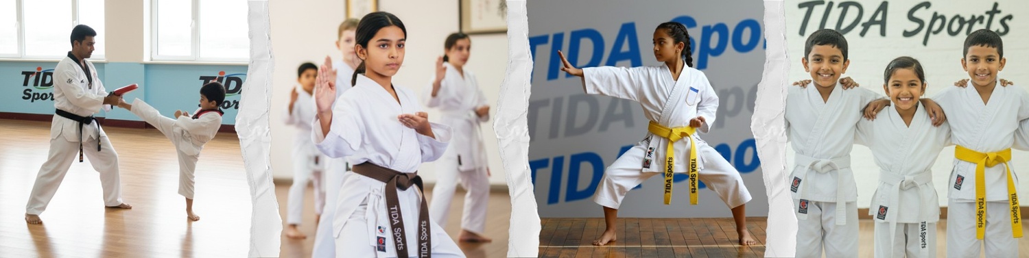 Professional Martial Arts Academy in India – TIDA Sports