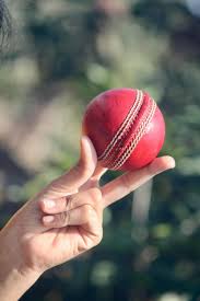 Cricket Ball